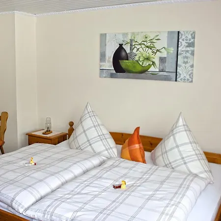 Haus Franziska Apartment Neuschönau
